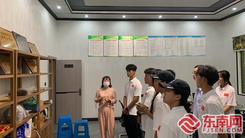 茶文-旅体研学团队了解茶企发展历史 童文妍 摄